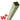 75x75 x 2.4m Green Timber Fence Posts With Spike Or Bolt-Down PACK OF 3 by Unbranded